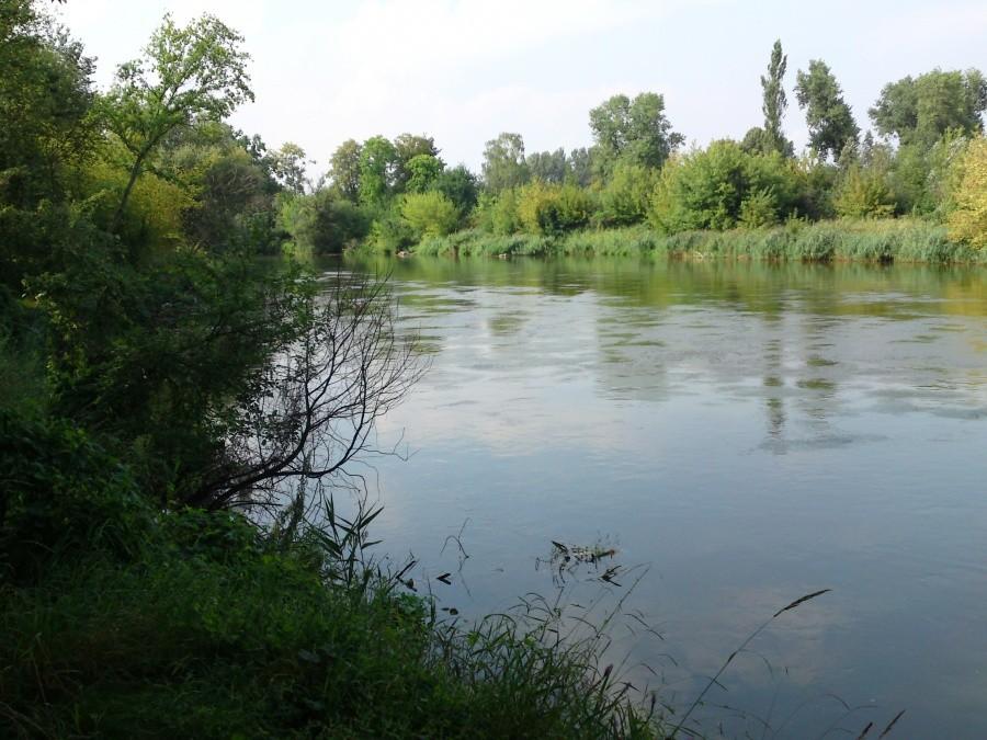 Warta jest piękna