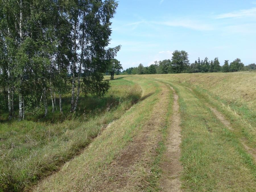 NSR