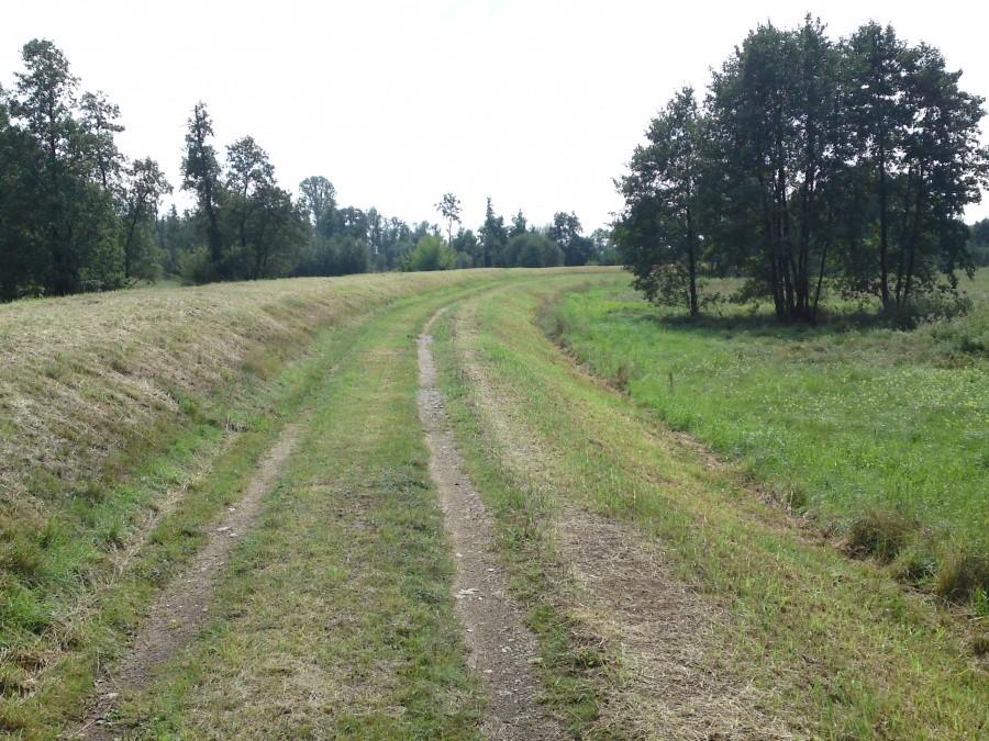 NSR