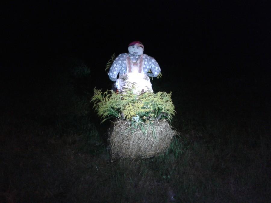 Nie zdradzę co ta Pani wyprawiała za tą kępką zieleniny ;).