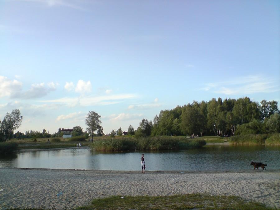 Staw na Lublinku
