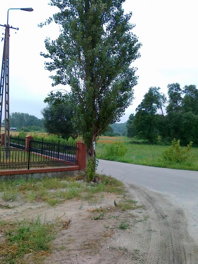 Początkowo był asfalt