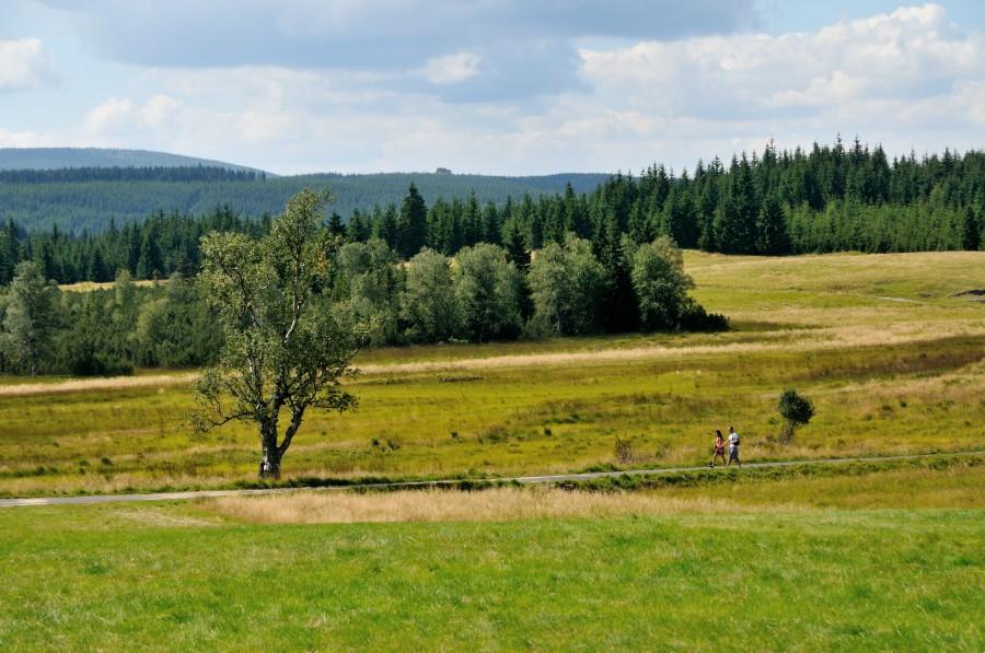 Widok z Chatki Górzystów
