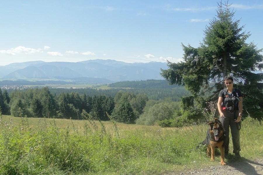 Wychodzimy w góry