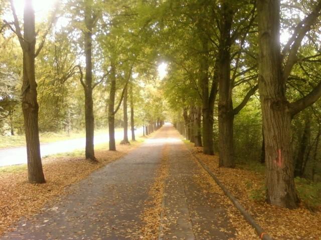 DDR na Wycieczkowej