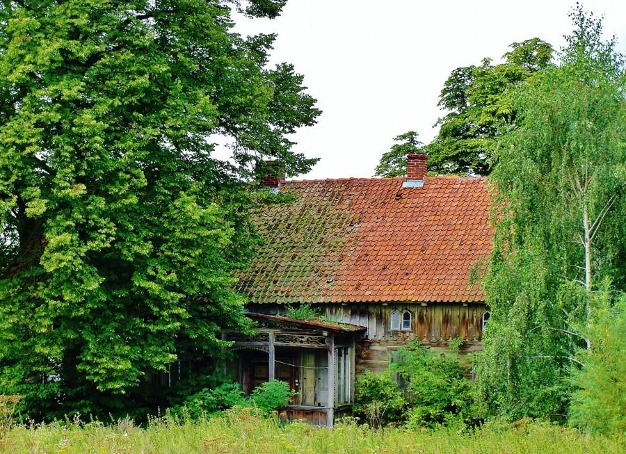 Stary dom wśród drzew.