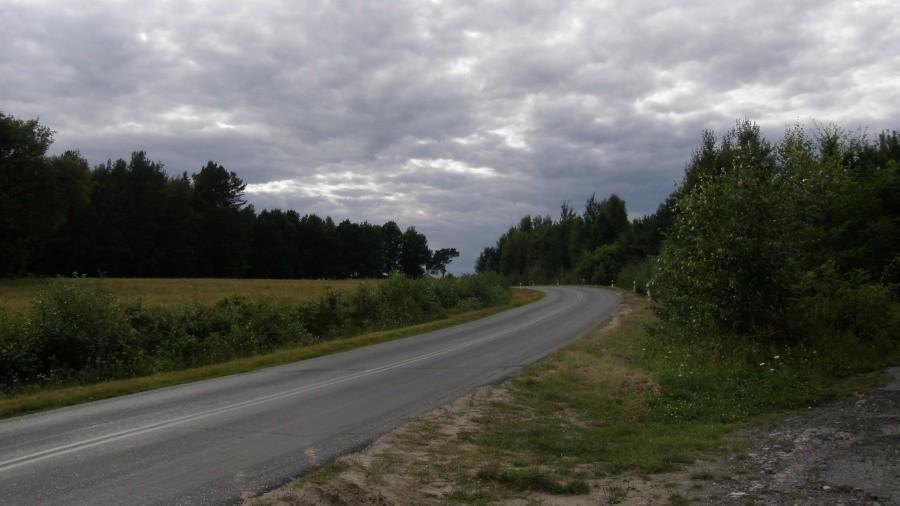 Trochę pofałdowana Ziemia Lubuska. Fajnie się pomykało :)