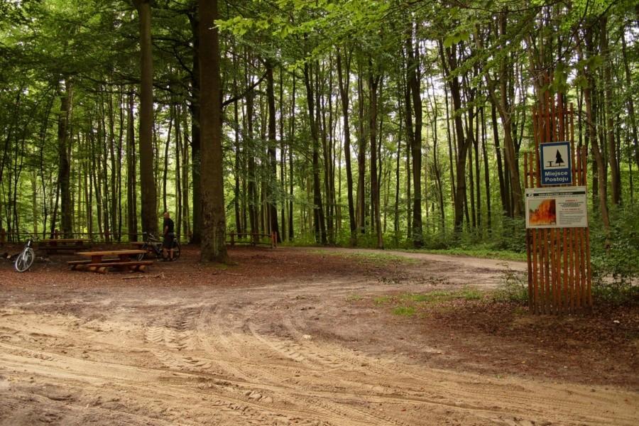 Miejsce postoju w lesie niedaleko Sobowidza