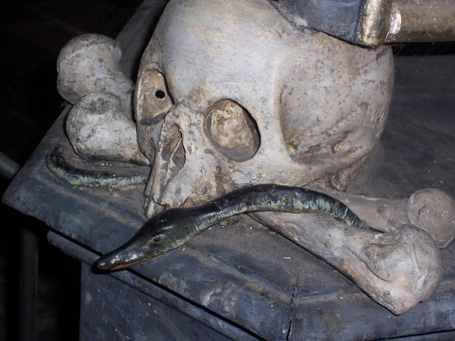 ossuarium (tzw. Kaplica Czaszek) w dzielnicy Sedlec