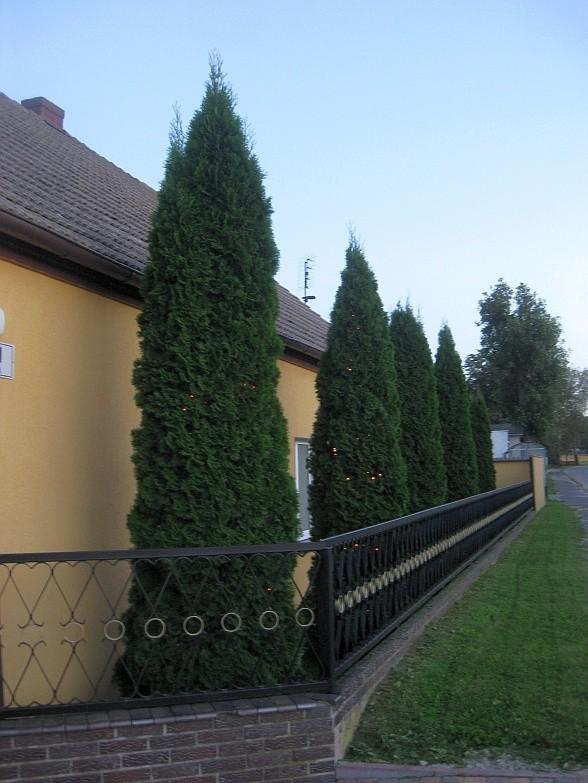 We wsi Góra mają już "Gwiazdkę"