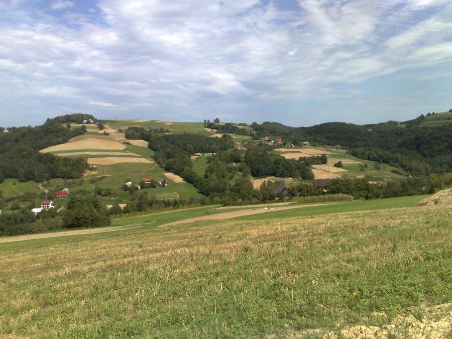 Widok na góry