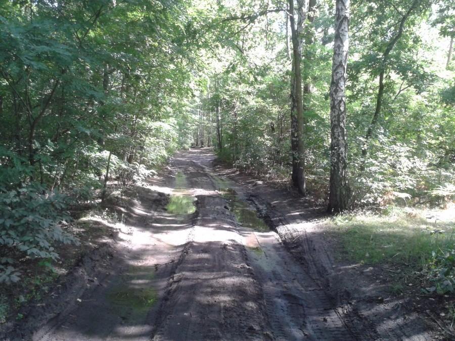 Ulica Spacerowa w Markach wg Google Maps
