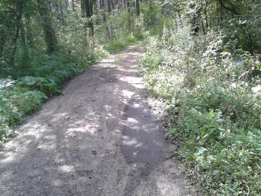 Ulica Gościniec