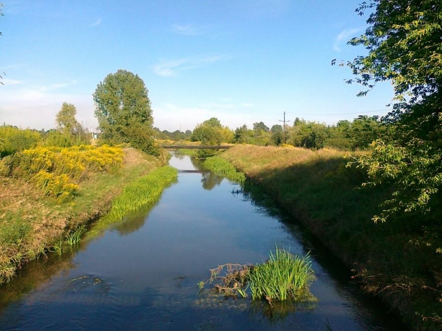 Przemsza