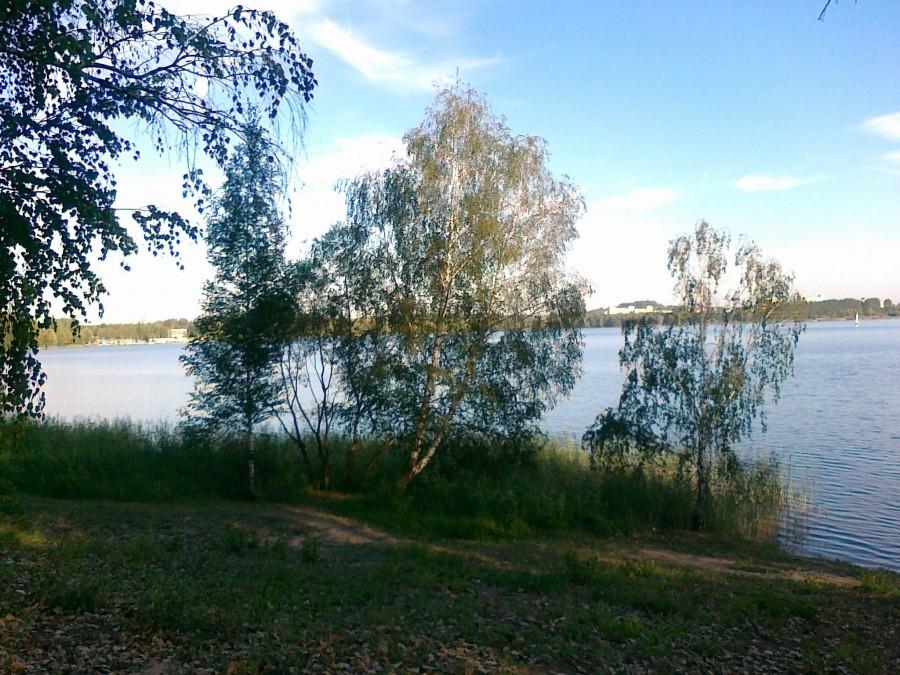 Pogoria