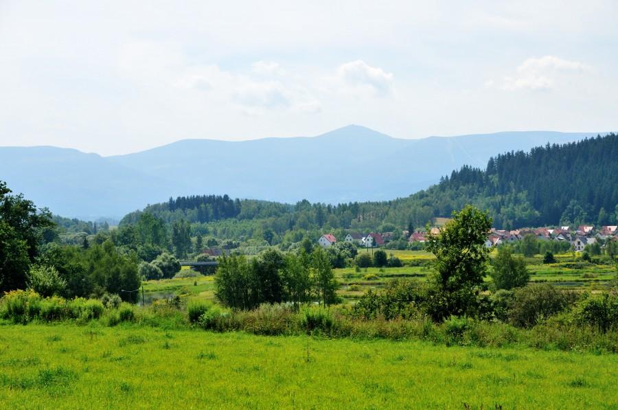 Widok przed Dąbrowicą - w oddali Śnieżka