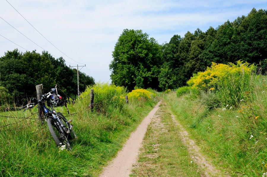 Tranquill na szlaku