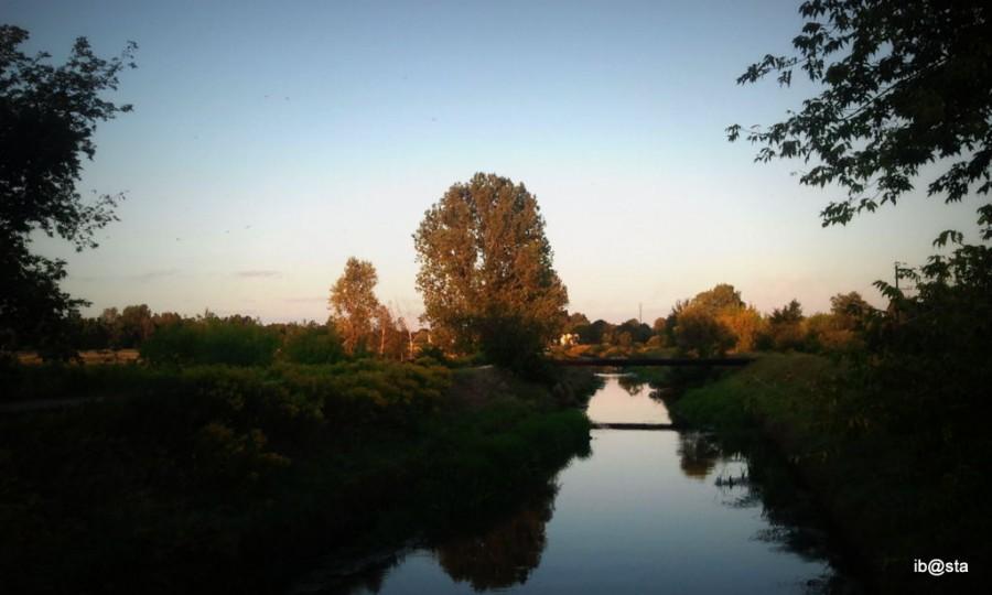 Przemsza - z kładki (ul. Reja)