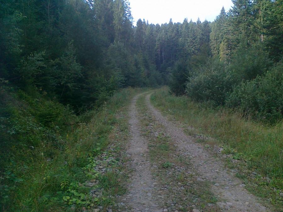 Trasy rowerowe Bieszczady 06