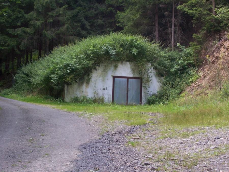 w drodze powrotnej