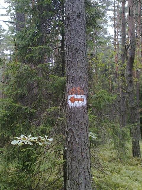 pomarańczowy rowerek