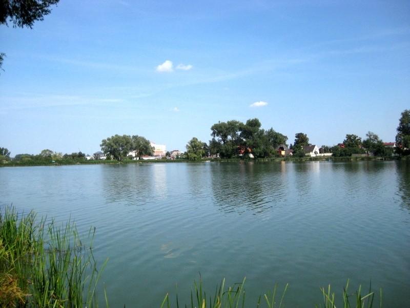 Jezioro Rogoźno - widok na drugi brzeg