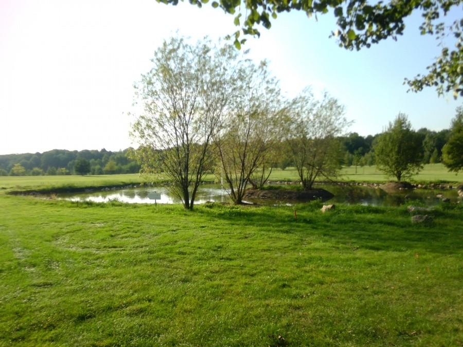 Pole golfowe w Siemianowicach Śl.