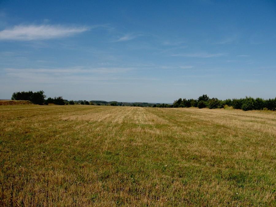 Na szaku okolice wzniesienia 278,4 m n.p.m.