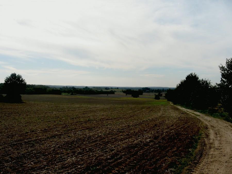 A tą drogą nigdy nie jechałem, a warto