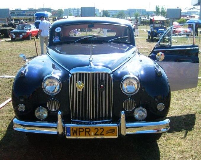 Pięny Jaguar