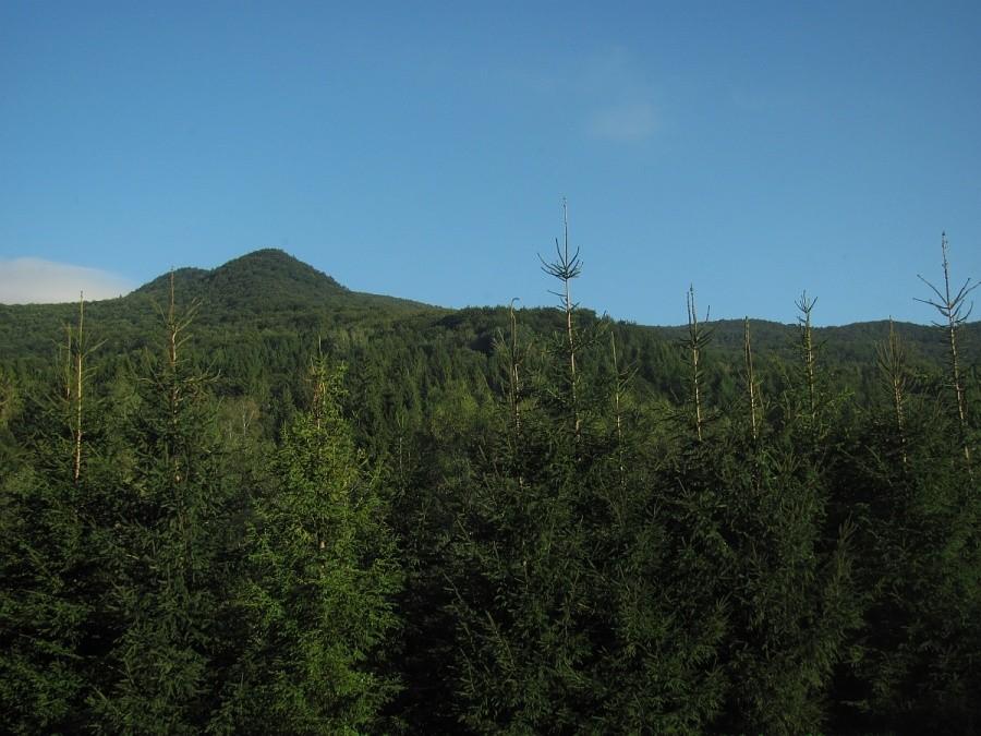 widok z okna schroniska