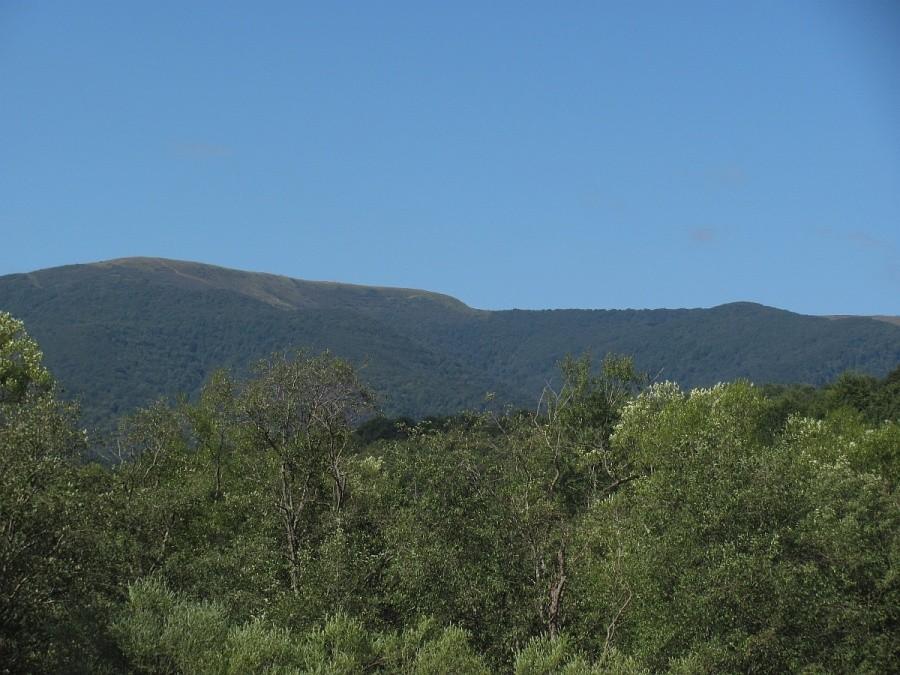 Tarnica w słońcu
