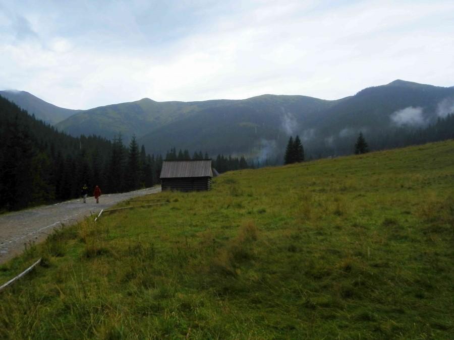 Deszczowa Dolina Chochołowska IV.