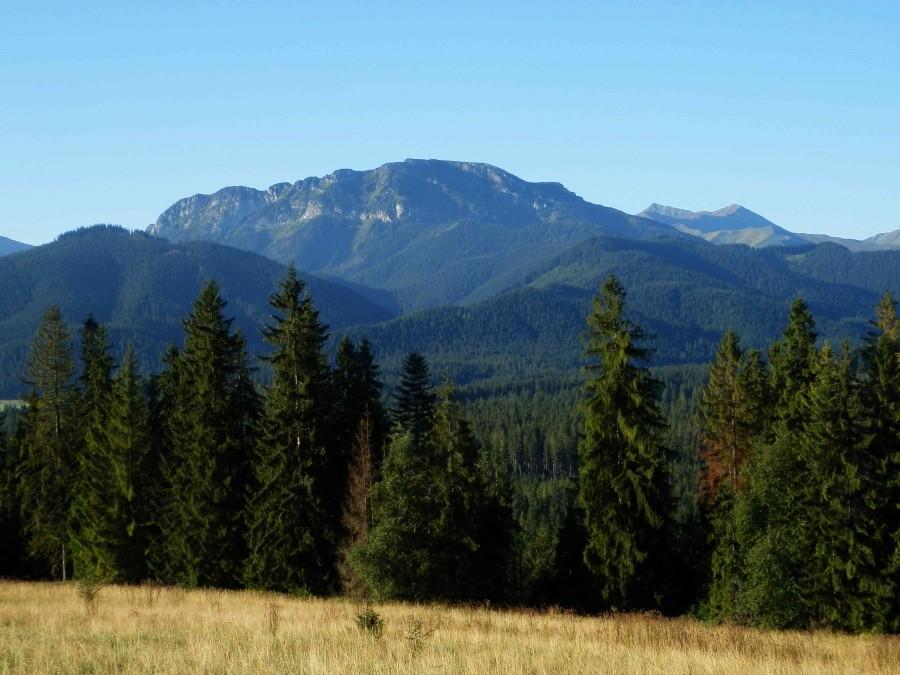 Widok na Tatry z Płazówki I.
