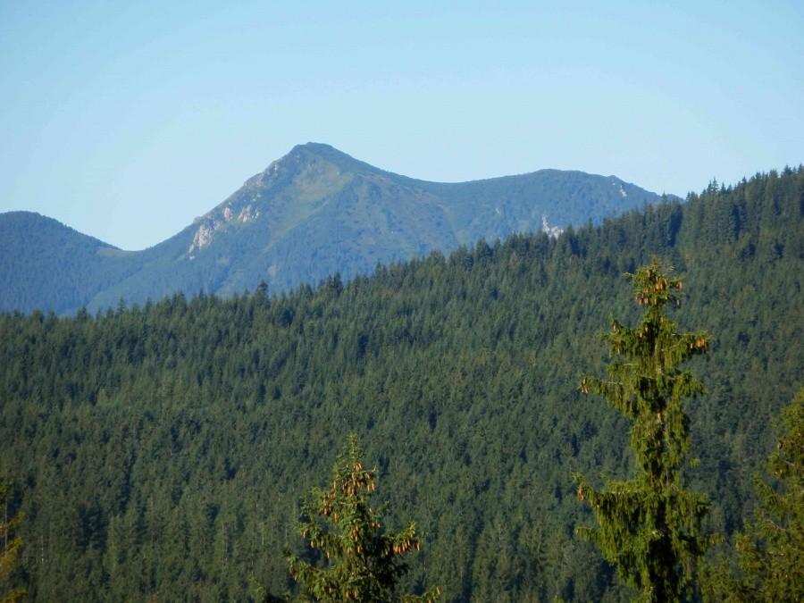 Widok na Tatry z Płazówki III.