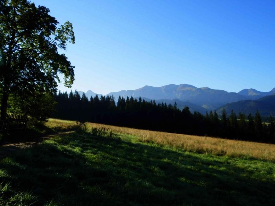 Widok na Tatry z Płazówki VI.