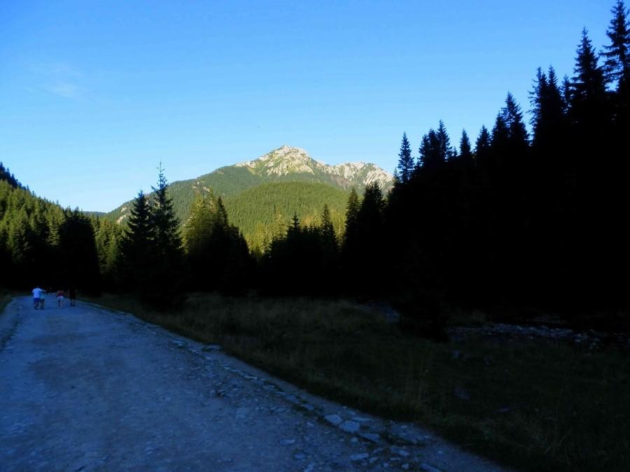 Doina Chochołowska tym razem w wieczornym słońcu.
