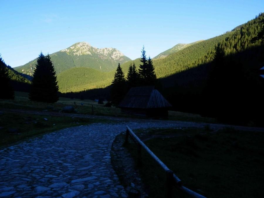 Widok ze schroniska na Polanie Chochołowskiej.