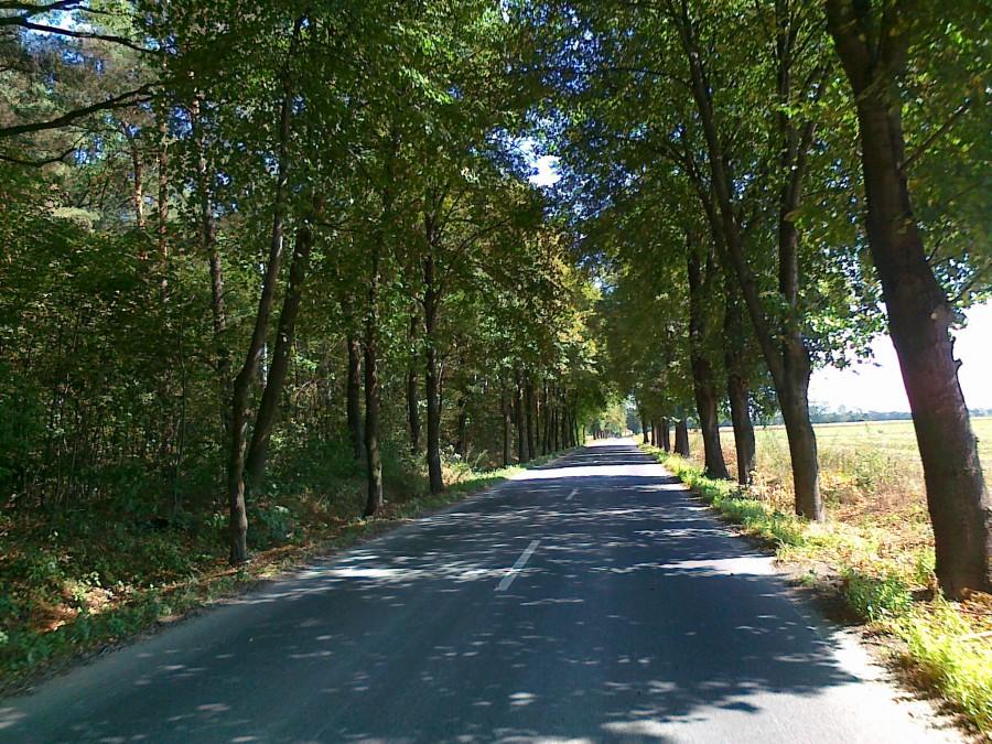 Droga przez Jedlinę