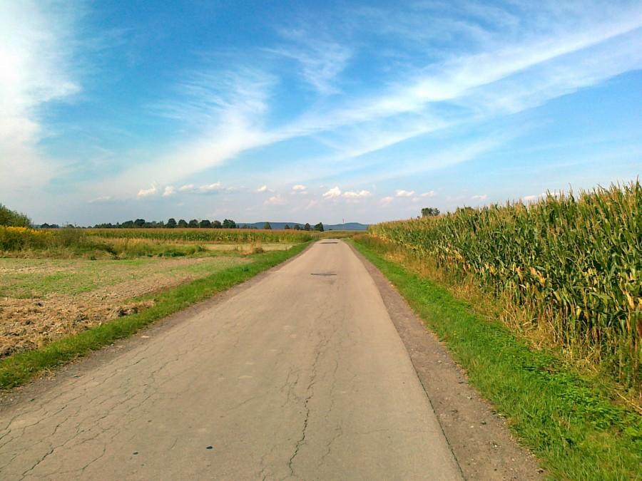 Prawie jak we Włoszech