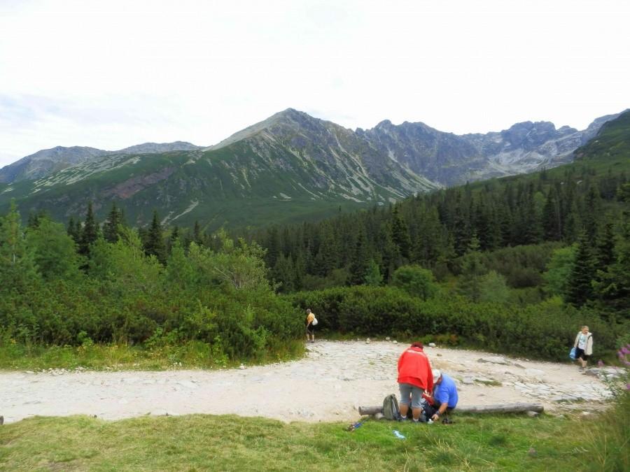 Widok na Tatry z Hali Gąsienicowej II.