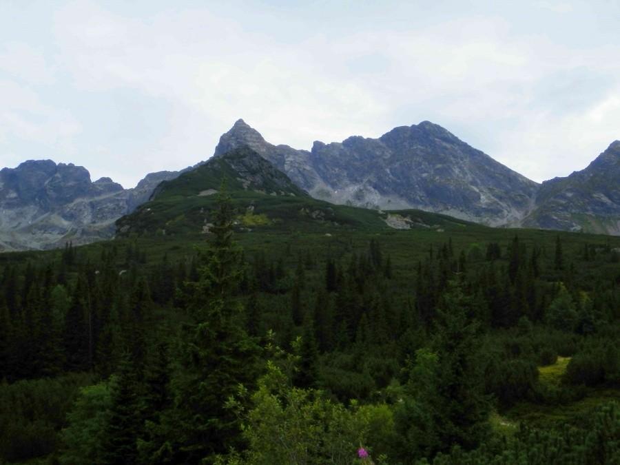Widok na Tatry z Hali Gąsienicowej III.