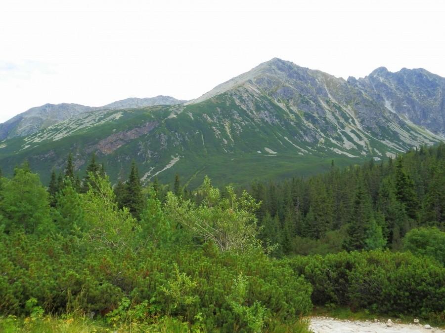 Widok na Tatry z Hali Gąsienicowej IV.