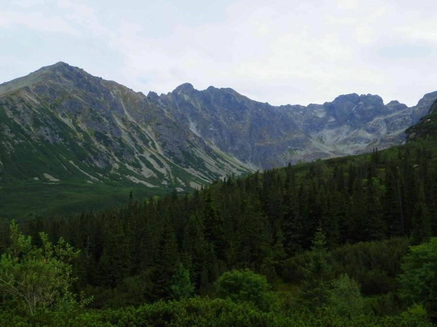 Widok na Tatry z Hali Gąsienicowej V.