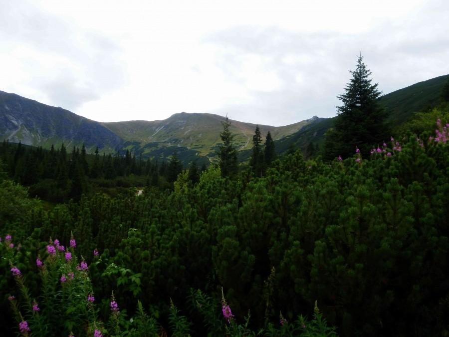 Kasprowy Wierch.