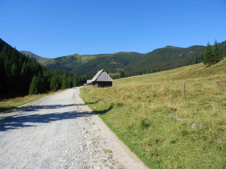 Skąpana w słońcu Dolina Chochołowska I.