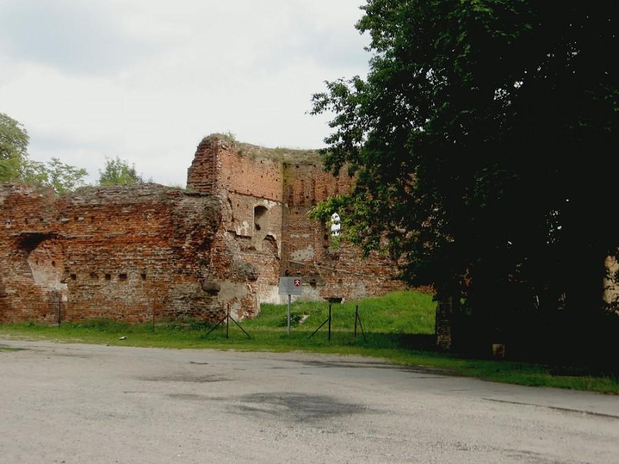 Radziki Duże