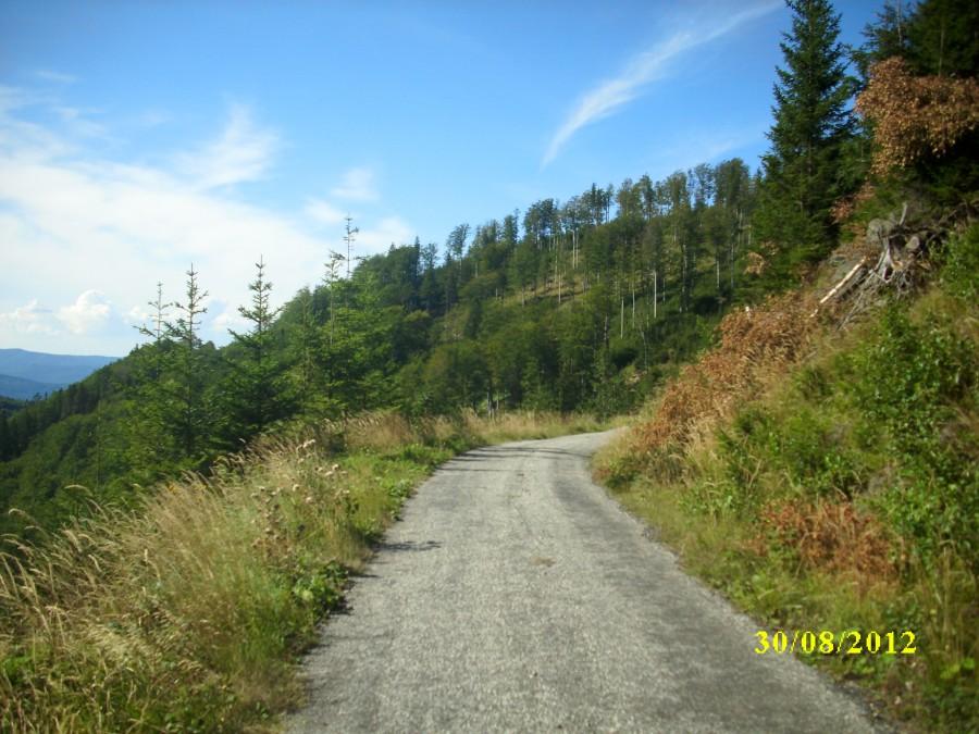 wygodna nawierzchnia trasy