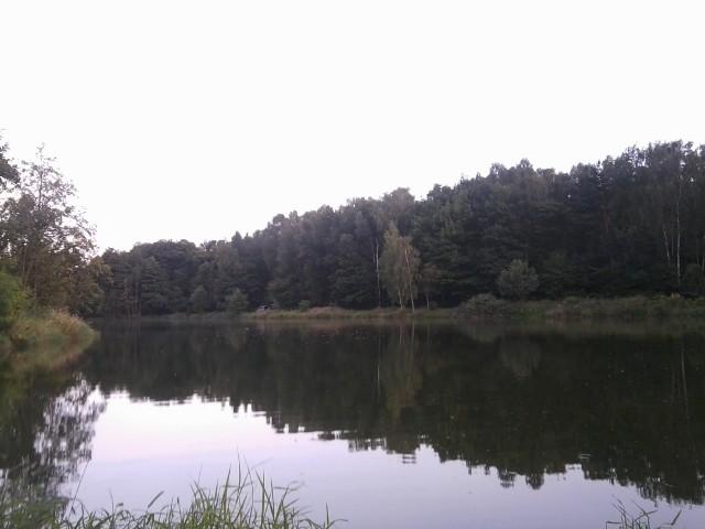Staw Pabianka