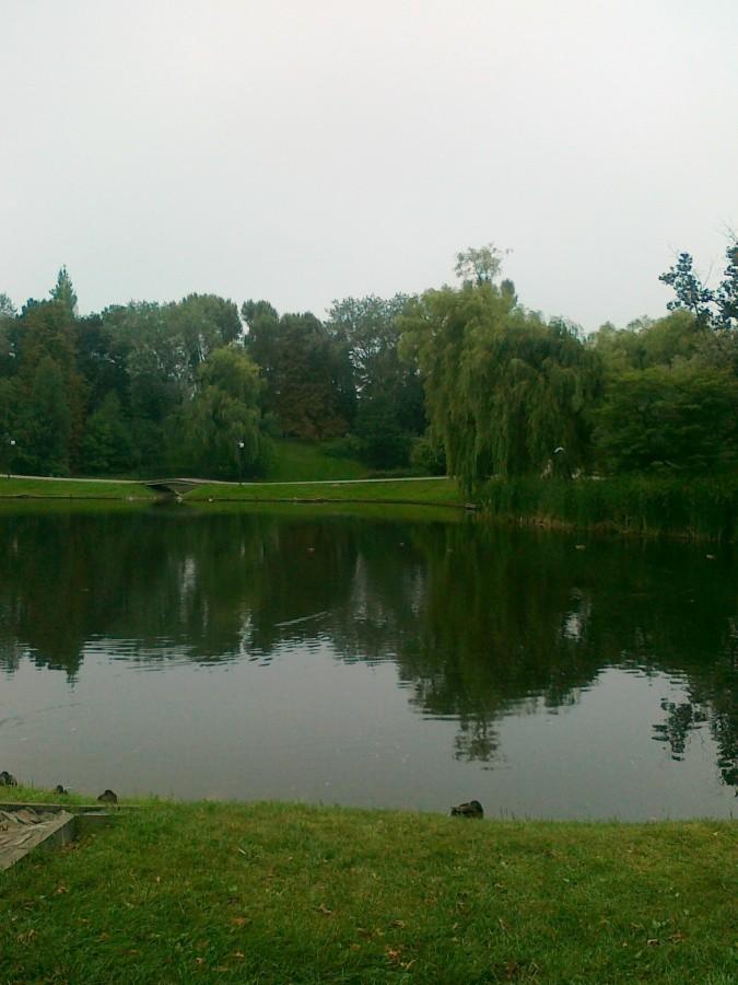 Nad stawem na Moczydle